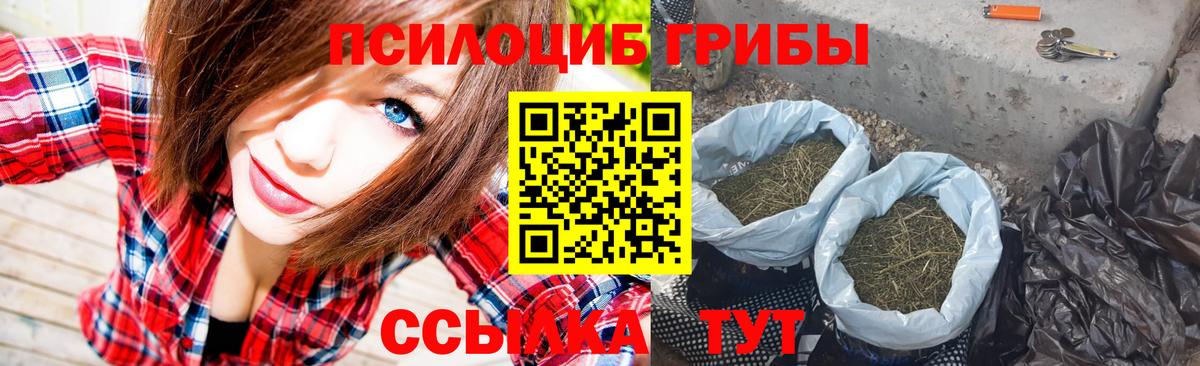 Серов  Псилоцибиновые грибы мухоморы  Вход с VPN 